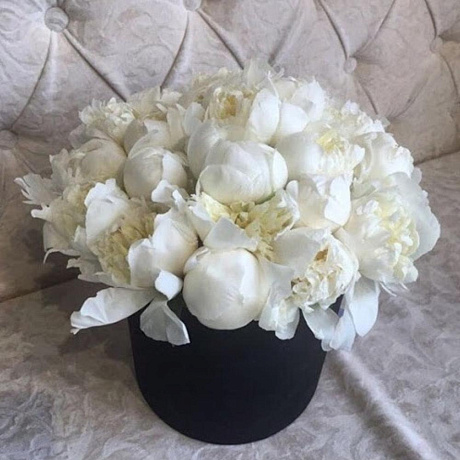 Коробка белых пионов - Фото 1