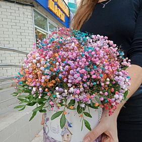 Коробочка радужной гипсофилы