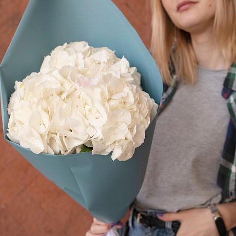 Букет из 3 белых гортензий - Фото 1