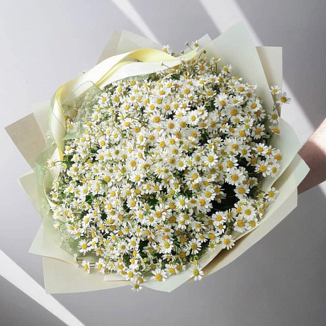 Букет цветов Ромашка wow - Фото 1