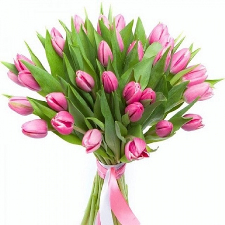 Букет из 27 розовых тюльпанов - Фото 1