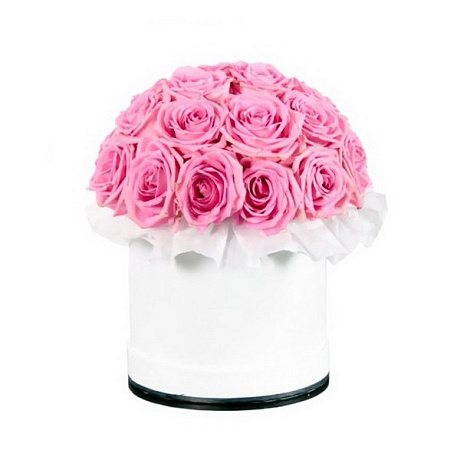 Букет из 19 розовых роз в малой шляпной коробке - Фото 1