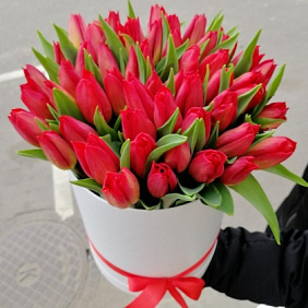 Тюльпаны в коробке №162