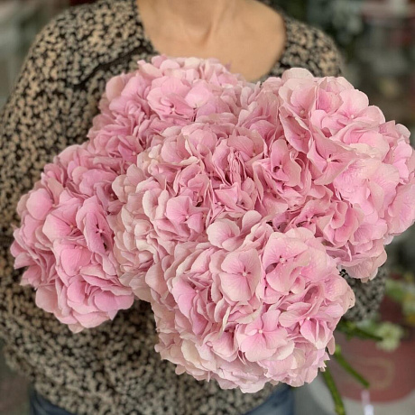 Букет с гортензиями №194 - Фото 1