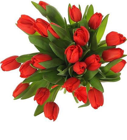 25 красных тюльпанов в розовой коробке шкатулке с рафаэлло №454 - Фото 1