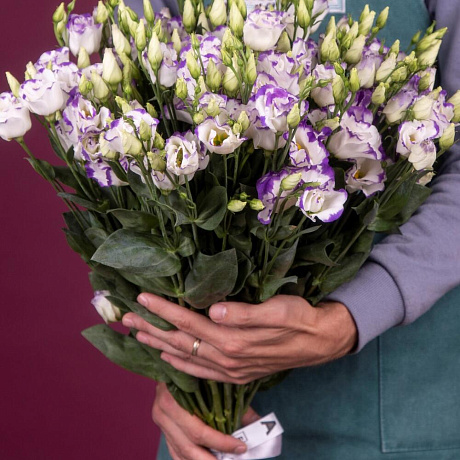 Букет из 19 двухцветных эустом - Фото 1