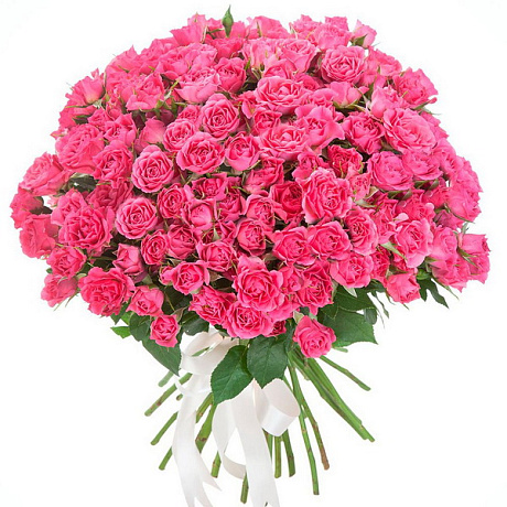 51 розовая кустовая роза с лентой - Фото 1