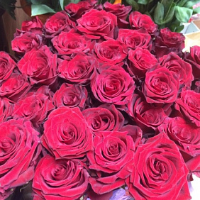 Эксплоер 35 шт №161