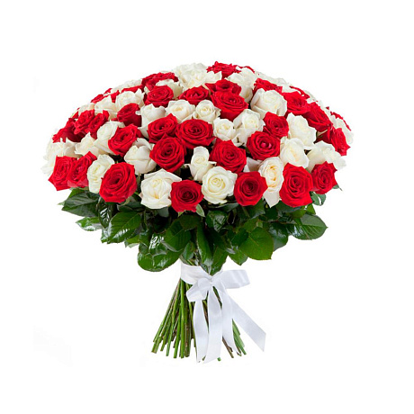 101 красно-белая роза (70 см) - Фото 1