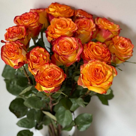 Букет цветов №544