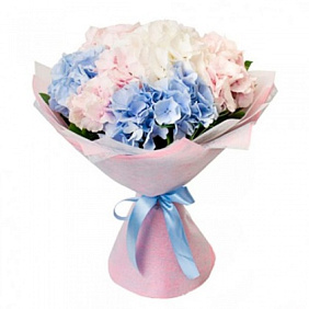 Букет из 11 гортензий №160