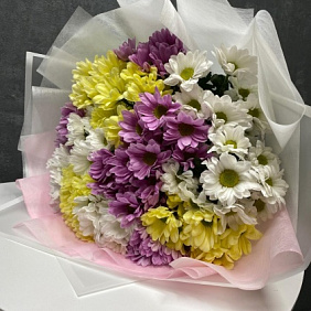 Хризантемы кустовые микс