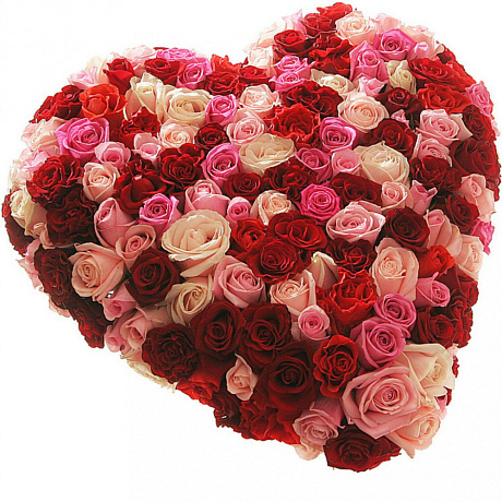 101 разноцветная роза сердцем - Фото 1
