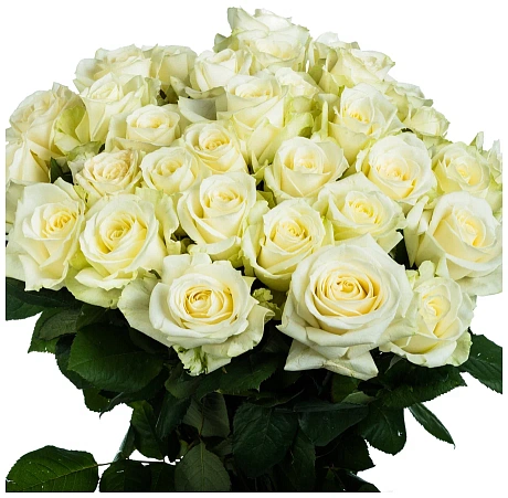 Букет 25 белых роз 35 см - Фото 1