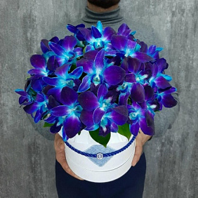 Букет цветов "Космос в коробке" (65 шт.)