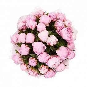 Букет из 31 розового пиона