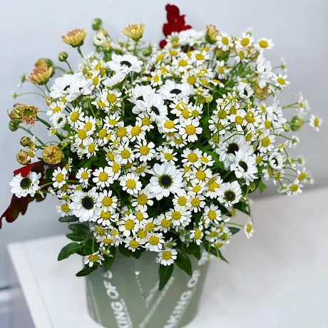 Цветы в коробке №779 - Фото 1