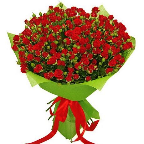 Букет из 25 кустовых красных роз - Фото 1