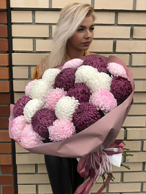 Хризантема одноголовая №162