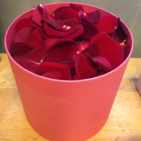 Лепестки роз в коробке №2 - Фото 1