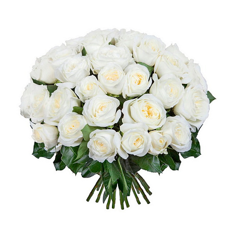 Букет из 25 пионовидных роз Вайт Охара - Фото 1