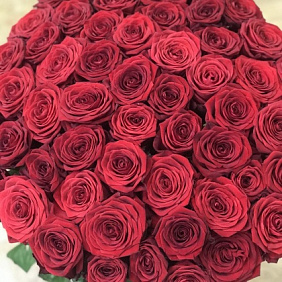 51 красная роза  Премиум с лентой