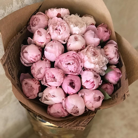 Пионы Сара Бернар Премиум №161 - Фото 1