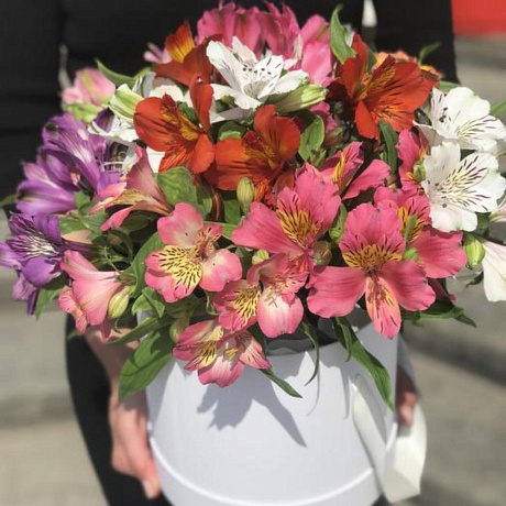 Цветы в коробке   15 свежих Альстромерий микс Голландия «Счастье» - Фото 1