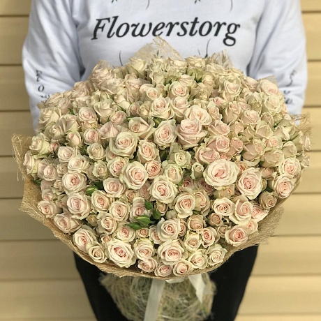 Букет из кремовых кустовых роз (51 шт). N629 - Фото 1
