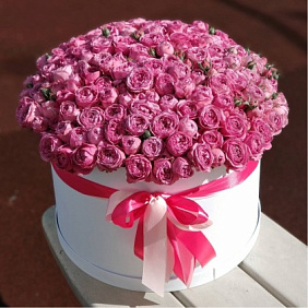 51 розовая кустовая пионовидная роза в большой белой шляпной коробке №240