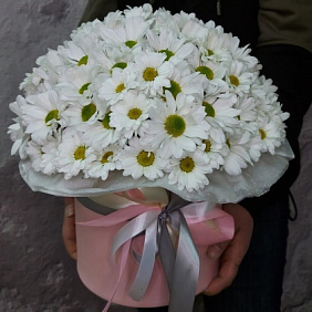 Композиция из 25 Хризантем