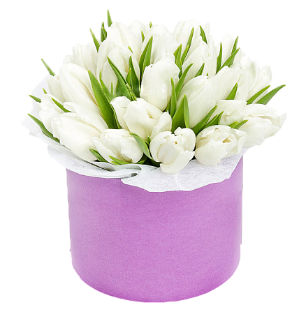 Букет 31 белый тюльпан в малой шляпной коробке