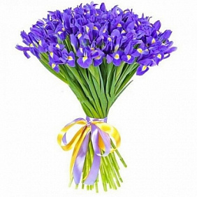 Большой букет ирисов Признание