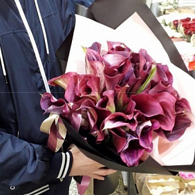 Розовые каллы