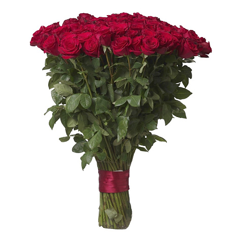 Букет 51 красная роза Премиум Эквадор 60 см. - Фото 1