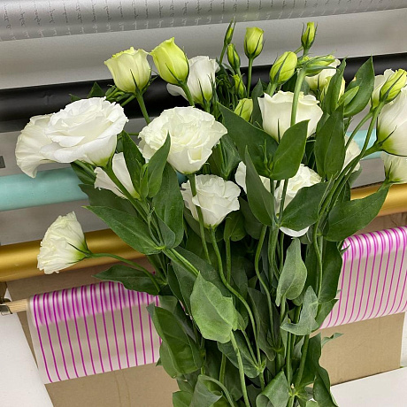 Букет из эустомы №165 - Фото 1