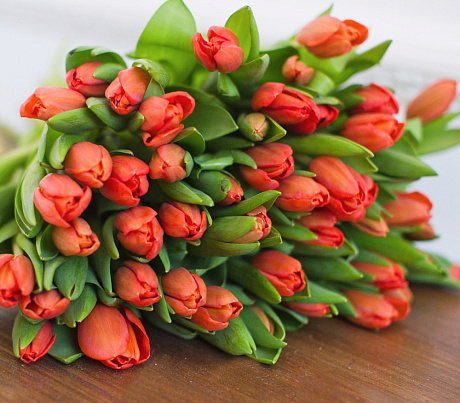 35 красно-рыжих тюльпанов в голубой шляпной коробке №555 - Фото 1