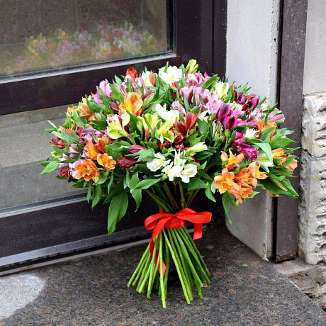 Букет из 51 альстромерии №162 - Фото 1