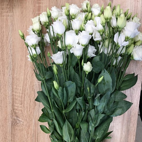 Букет Эустома 15