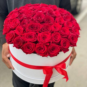 51 красная роза в шляпной коробке