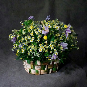 Корзина ромашек №160