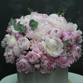 Пионы в коробке №182