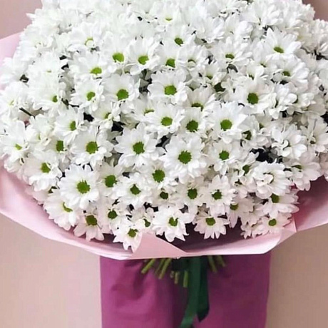 Букет цветов Ромашки XXXl - Фото 1