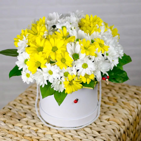7 Желтых хризантем в белой шляпной коробке №81