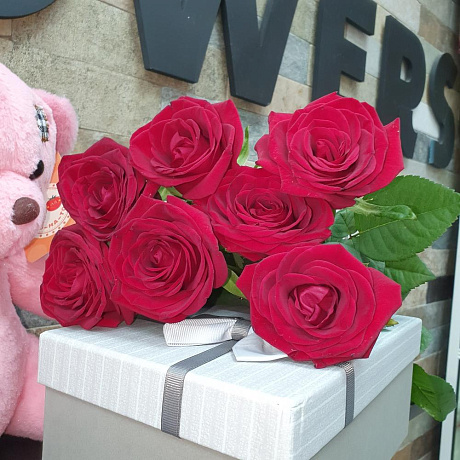 7 роз ред наоми - Фото 1