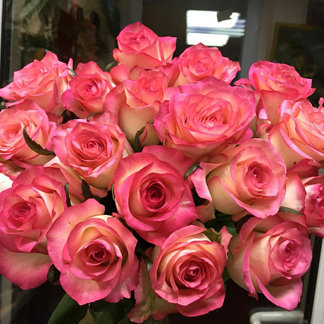 Букет из роз Джамила 17 шт №160 - Фото 1