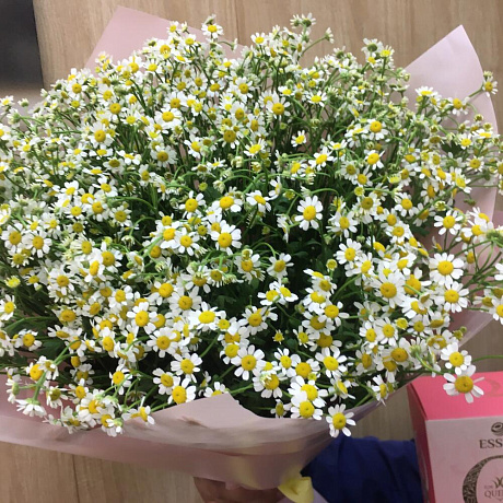 Букет ромашек с конфетами - Фото 1