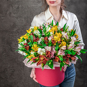 25 альстромерий микс в красной шляпной коробке №783