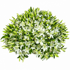 101 лилия в корзине