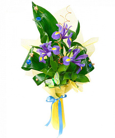 Букет из ирисов и зелени
